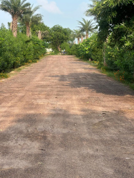  Agricultural Land for Sale in Sohna Road, Gurgaon