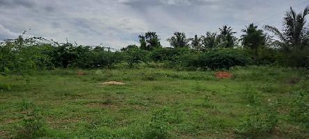  Agricultural Land for Sale in Puttaparthi, Anantapur