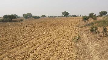  Agricultural Land for Sale in Charkhari, Mahoba