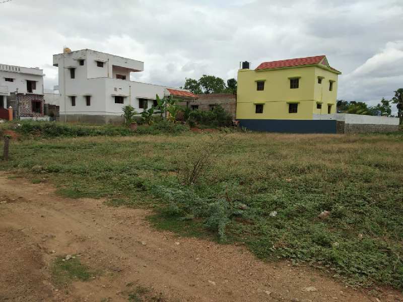 Residential Plot 24 Cent for Sale in Surandai, Tirunelveli