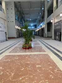  Commercial Shop for Sale in Sector 75 Noida