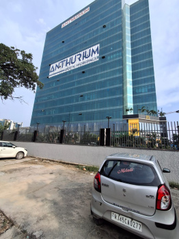  Showroom for Sale in Sector 73 Noida