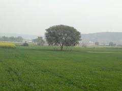  Residential Plot for Sale in Sujanpur, Kanpur