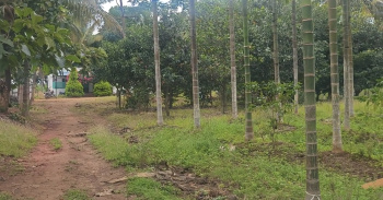  Agricultural Land for Sale in Mysore Road, Bangalore