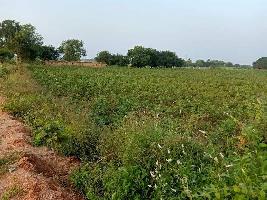  Agricultural Land for Sale in Aleru, Hyderabad