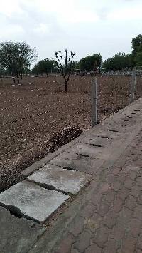  Agricultural Land for Rent in Bagru, Jaipur