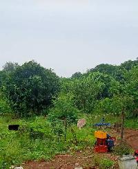  Agricultural Land for Sale in Kumhari, Durg