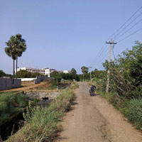  Agricultural Land for Sale in Kottaram, Kanyakumari