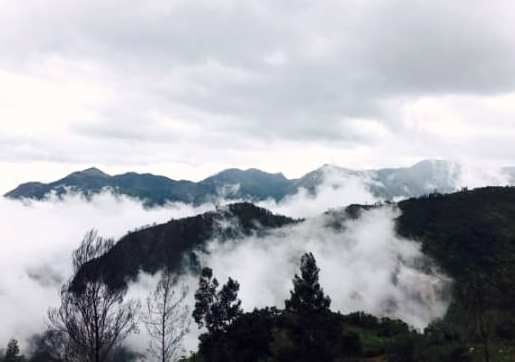 Residential Plot 5000 Sq.ft. for Sale in Coonoor, Ooty