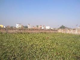  Residential Plot for Sale in Jaganpura, Patna