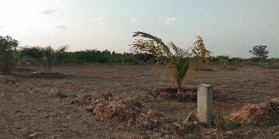  Agricultural Land for Sale in Agaram, Dindigul