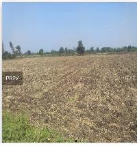  Agricultural Land for Sale in Ashta, Sehore