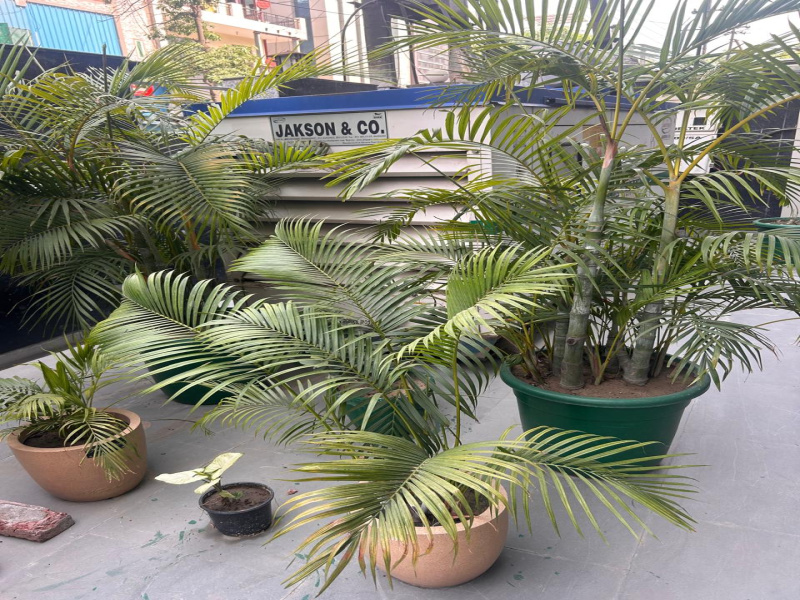  Warehouse 2500 Sq.ft. for Rent in Sector 63 Noida