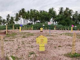  Commercial Land for Sale in Peddapuram, East Godavari