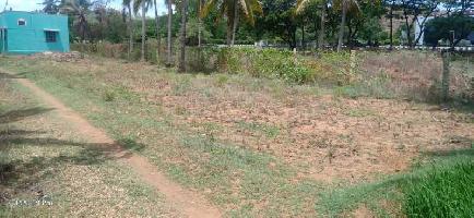  Residential Plot for Sale in Tollgate, Vellore
