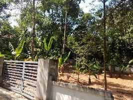  Residential Plot for Sale in Mulavana, Kollam