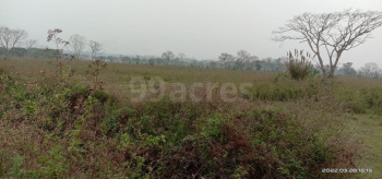  Agricultural Land for Sale in Lala, Hailakandi