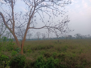  Agricultural Land for Sale in Lala, Hailakandi