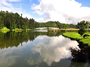 3 BHK House for Sale in Mirik, Darjeeling