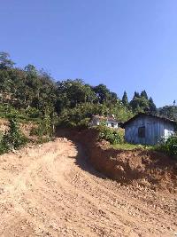  Agricultural Land for Sale in Sukhia Pokhari, Darjeeling