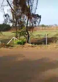  Agricultural Land for Sale in Marpally Mandal, Rangareddy