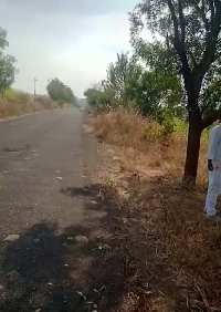  Agricultural Land for Sale in Afzalpur, Gulbarga