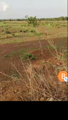  Agricultural Land 21 Acre for Sale in Bagdal, Bidar