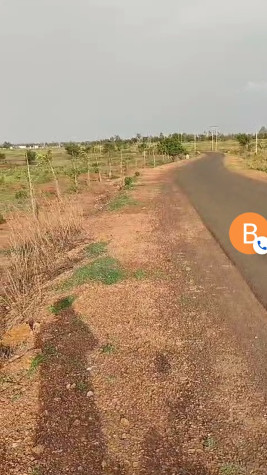  Agricultural Land 21 Acre for Sale in Bagdal, Bidar