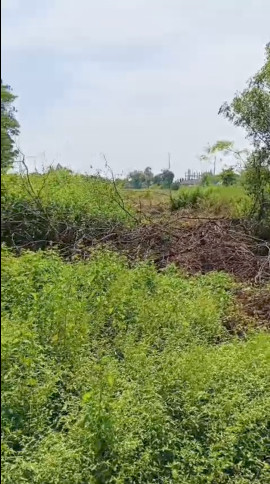  6 Acre Industrial Land for Sale in Kolaar, Bidar