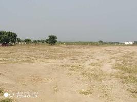  Agricultural Land for Sale in Mominpet Mandal, Vikarabad
