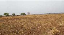  60 Acre Agricultural/Farm Land for Sale in Erravalli village Vikarabad