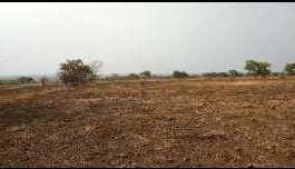  60 Acre Agricultural/Farm Land for Sale in Erravalli village Vikarabad