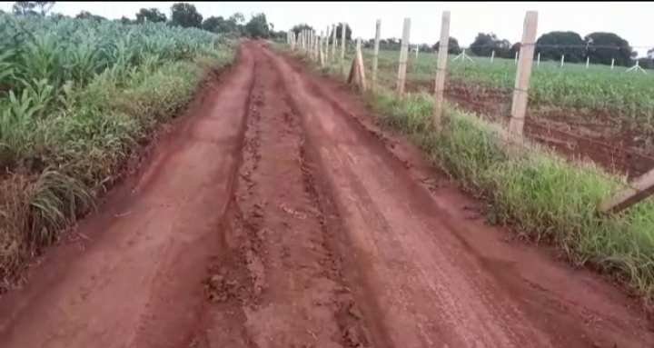  40 Acre Agricultural/Farm Land for Sale in Tattepally village Vikarabad