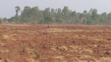 Agricultural Land for Sale in Zaheerabad, Sangareddy