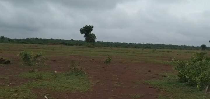  55 Acre Agricultural/Farm Land for Sale in Peddemul mandal Vikarabad