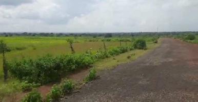  Agricultural Land for Sale in Bhalki, Bidar