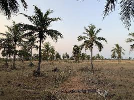  Agricultural Land for Sale in Sethubavachatram, Thanjavur