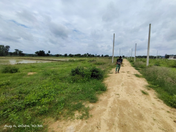  Residential Plot for Sale in Barapali, Bargarh