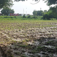  Agricultural Land for Rent in Ekdil, Etawah