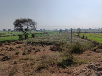  Agricultural Land for Sale in Jewar, Gautam Buddha Nagar