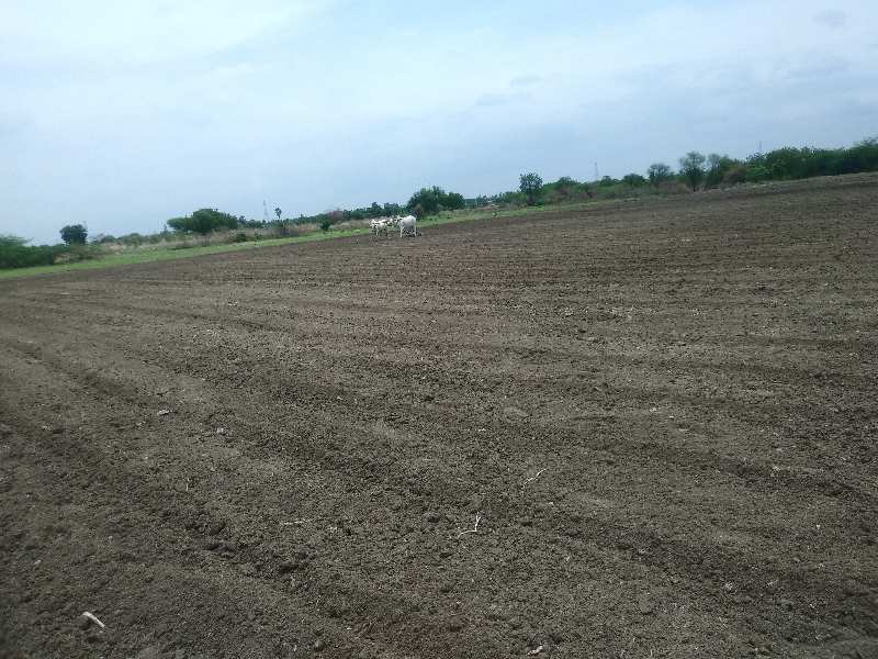  Agricultural Land 37 Guntha for Sale in Yadagirigutta, Hyderabad