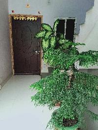 1 BHK House for Rent in Vijay Nagar, Indore