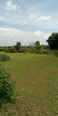  Agricultural Land for Sale in Ettimadai, Coimbatore