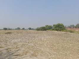  Agricultural Land for Sale in Rania, Kanpur