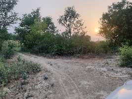  Agricultural Land for Sale in Bhauti, Kanpur