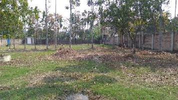  Commercial Land for Sale in Madhyamgram, Kolkata