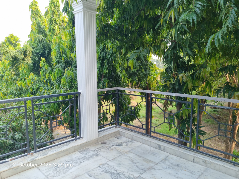 5 BHK 1000 Sq.ft. Farm House for Sale in Vasant Kunj, Delhi