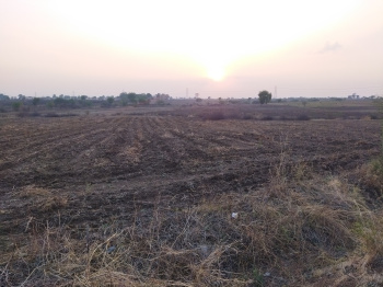  Agricultural Land for Sale in Walgaon, Amravati