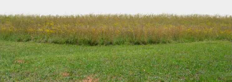  Industrial Land 10600 Sq. Yards for Sale in Pirana Road, Ahmedabad