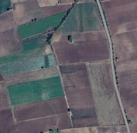  Agricultural Land for Sale in Savarkundla, Amreli